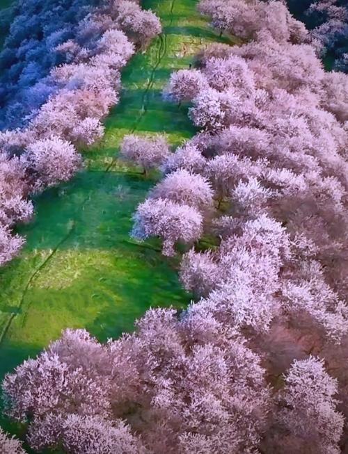 新疆新源天气预报，新疆新源天气预报查询最新-第6张图片-优品飞百科