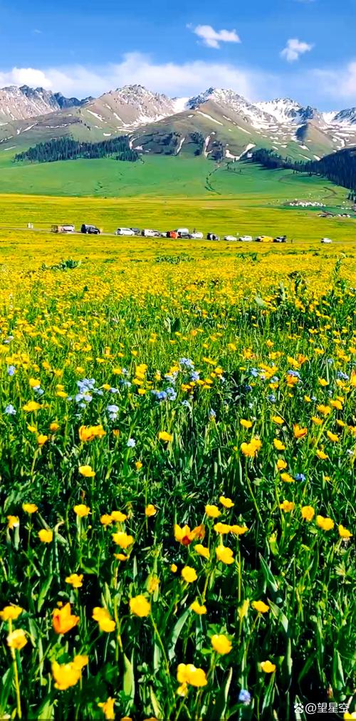 新疆新源天气预报，新疆新源天气预报查询最新-第7张图片-优品飞百科