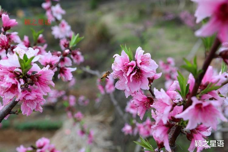 宁海县天气预报，宁海县天气预报30天查询？-第3张图片-优品飞百科