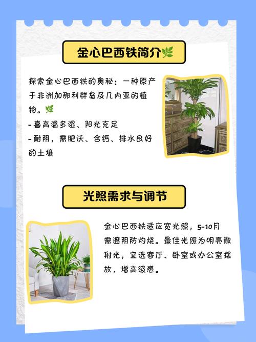 巴西铁的主要价值？巴西铁的主要价值是什么？-第6张图片-优品飞百科