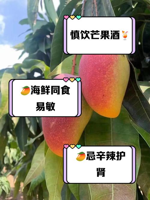 芒果不能和什么一起吃，芒果不能和什么一起吃会过敏-第4张图片-优品飞百科