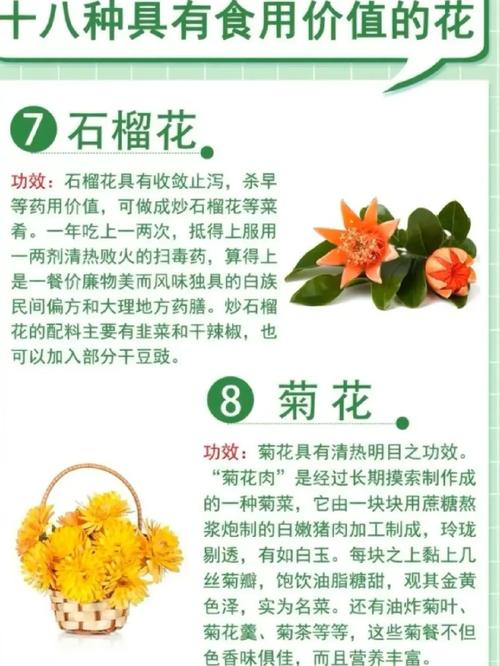 玉簪花可以泡茶吗？玉簪花可以泡茶吗百度百科？-第3张图片-优品飞百科