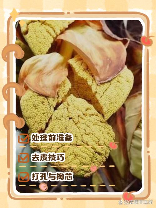 棕树籽的功效与作用，可以泡水或泡酒吗，棕树籽的功效与作用,可以泡水或泡酒吗？-第1张图片-优品飞百科