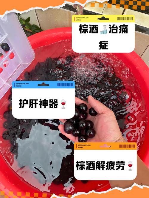 棕树籽的功效与作用，可以泡水或泡酒吗，棕树籽的功效与作用,可以泡水或泡酒吗？-第2张图片-优品飞百科