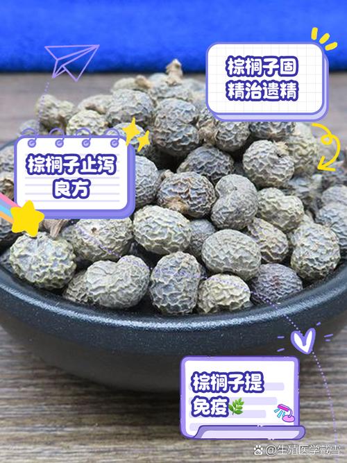 棕树籽的功效与作用，可以泡水或泡酒吗，棕树籽的功效与作用,可以泡水或泡酒吗？-第4张图片-优品飞百科