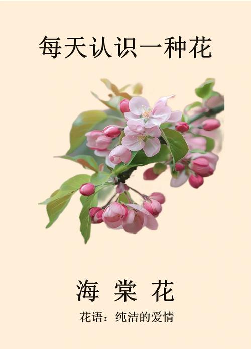 中国的古今名人与海棠花，名人写海棠-第1张图片-优品飞百科