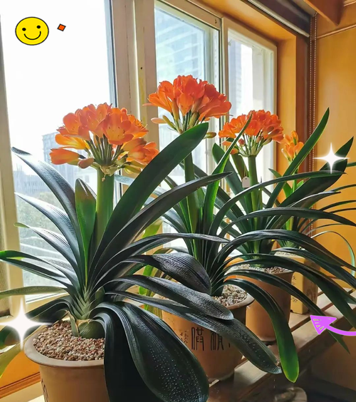 中国的古今名人与海棠花，名人写海棠-第7张图片-优品飞百科