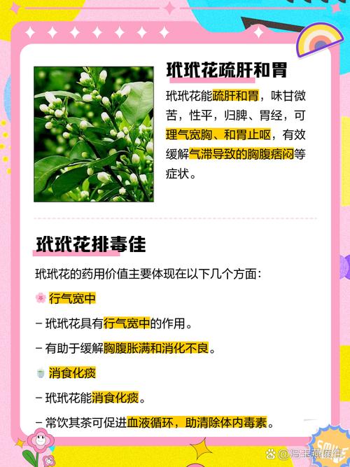 玳玳花的功效与作用，决明子的功效与作用-第5张图片-优品飞百科