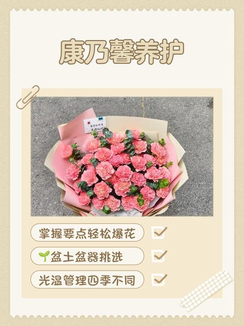 康乃馨的作用，康乃馨 功效？-第2张图片-优品飞百科