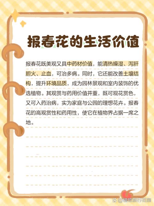 报春花花语，报春花花语象征与寓意？-第5张图片-优品飞百科