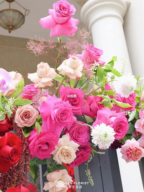 养了十几年花，位置居然没放对，白养了！，养了十几年的花-第6张图片-优品飞百科