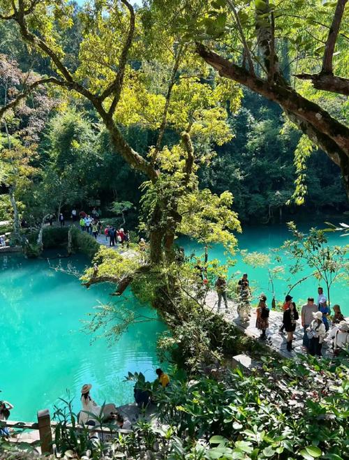 深圳天气预报7天？广东深圳天气预报7天？-第1张图片-优品飞百科