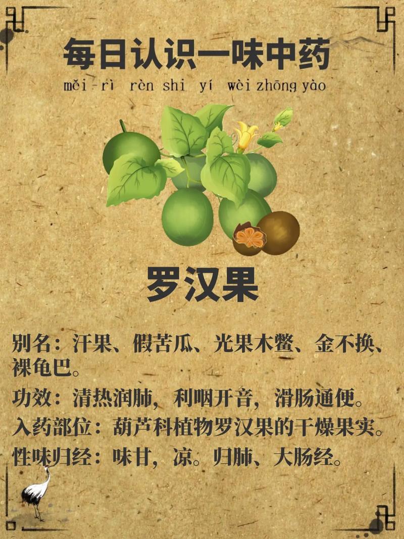 罗汉果的植物文化,竟然还有这种说法！，罗汉果的介绍？-第4张图片-优品飞百科