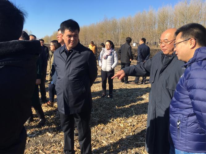 拜泉天气预报，拜泉天气预报未来三天-第3张图片-优品飞百科