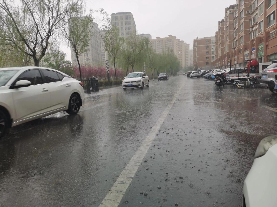 拜泉天气预报，拜泉天气预报未来三天-第6张图片-优品飞百科