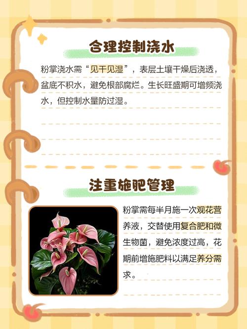 粉掌的功效和作用，粉掌学名叫什么-第2张图片-优品飞百科