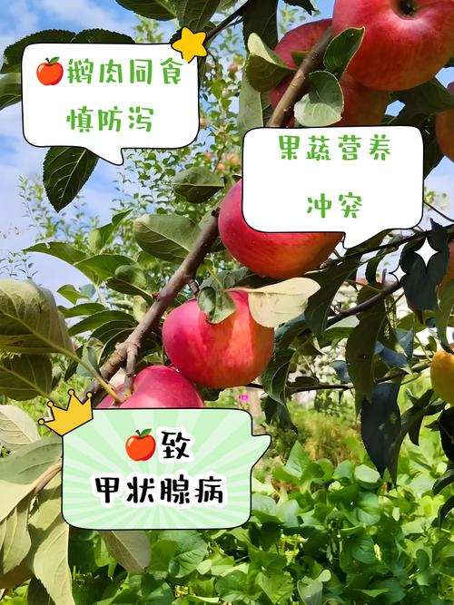 苹果不能和什么一起吃,苹果的三个最佳搭配-第4张图片-优品飞百科 苹果不能和什么一起吃,苹果的三个最佳搭配-第4张图片-优品飞百科