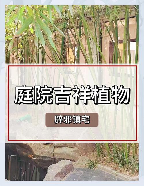 辟邪的植物有哪些，带刺辟邪的植物有哪些？-第4张图片-优品飞百科