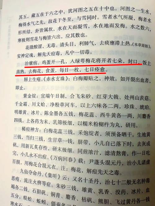 绿梅花的食用方法与价值，绿梅花功效及配伍？-第1张图片-优品飞百科