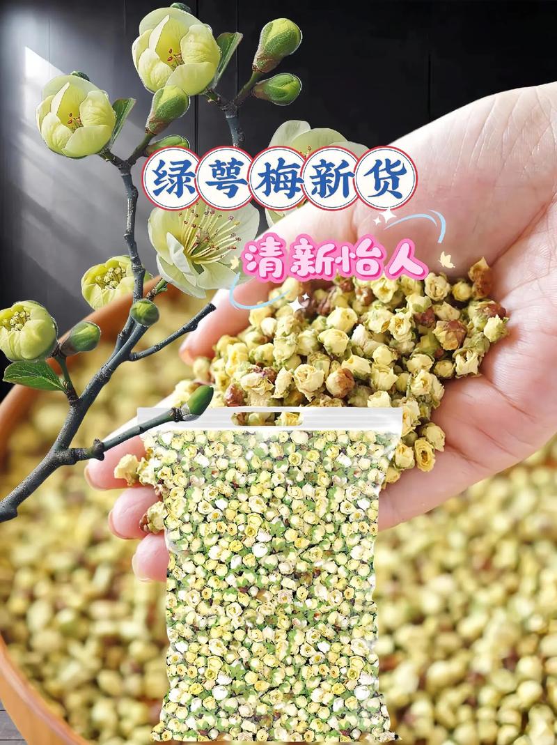绿梅花的食用方法与价值，绿梅花功效及配伍？-第7张图片-优品飞百科
