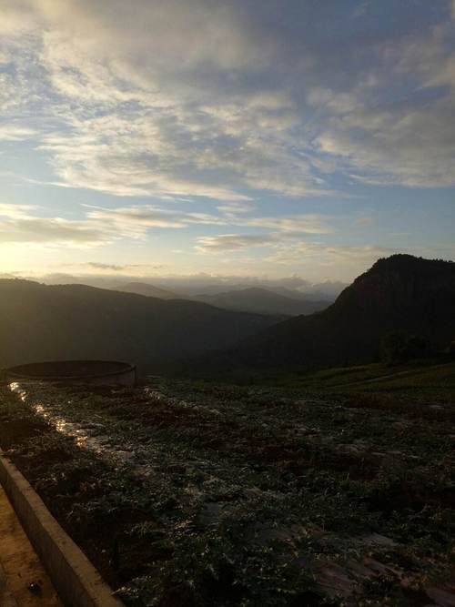 泸州古蔺天气预报，泸州古蔺的天气？-第6张图片-优品飞百科