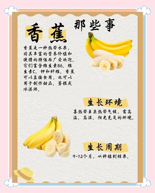 香蕉的功效作用和营养价值，香蕉的功效作用和营养价值及禁忌？-第4张图片-优品飞百科