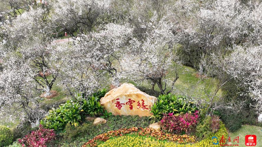 广州萝岗天气预报，广州萝岗天气预报15天-第4张图片-优品飞百科