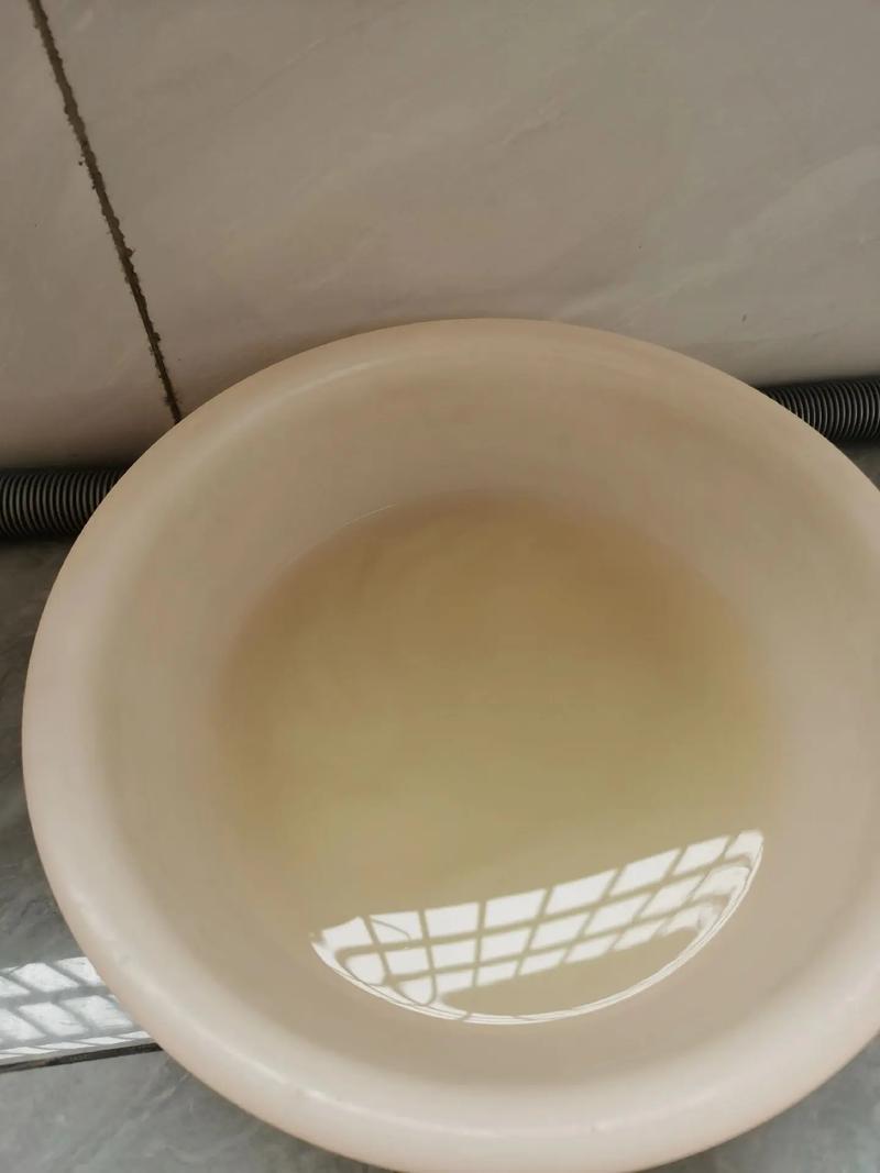 淘米水浇花需要发酵吗，怎么算发酵好，浇花用的淘米水要发酵几天才可以用-第5张图片-优品飞百科