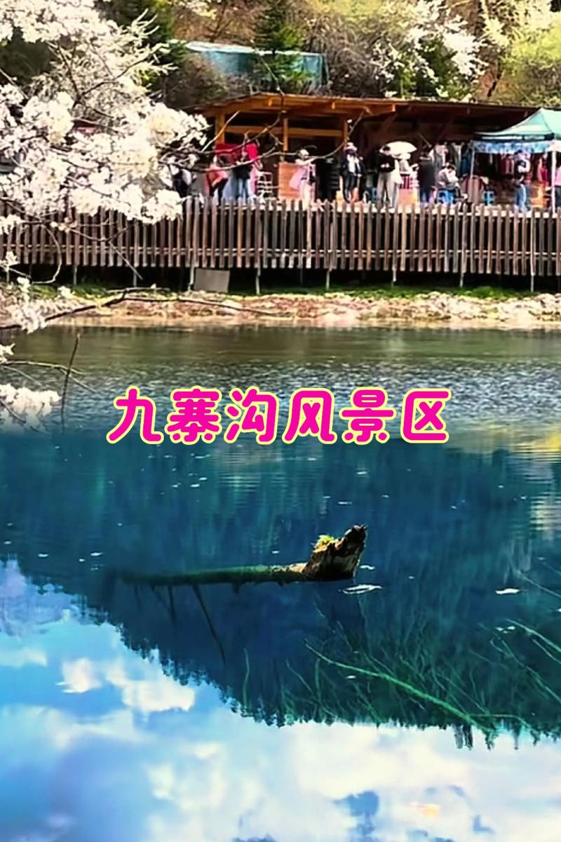 崇福天气预报，崇福天气预报准确-第1张图片-优品飞百科