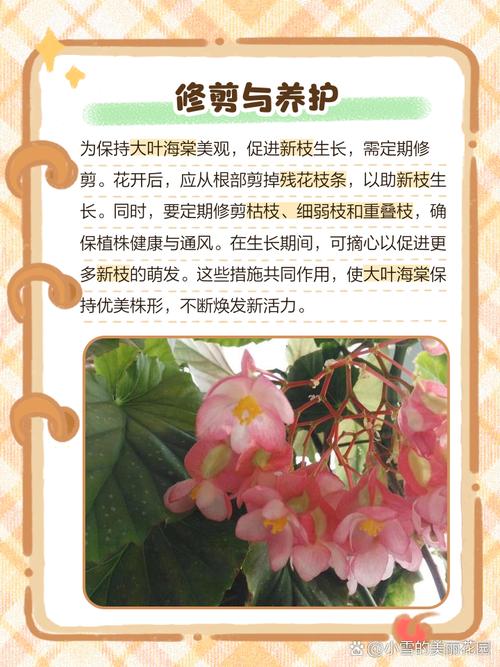 海棠花有几种，海棠图片？海棠花有几个品种,如何养植？-第2张图片-优品飞百科