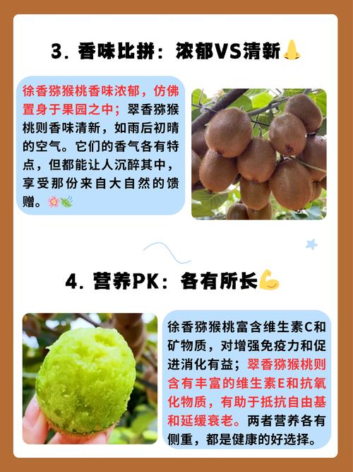 徐香猕猴桃和翠香猕猴桃的区别,哪个好吃,徐香还是翠香猕猴桃好吃?-第1张图片-优品飞百科 徐香猕猴桃和翠香猕猴桃的区别,哪个好吃,徐香还是翠香猕猴桃好吃?-第1张图片-优品飞百科