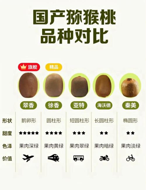 徐香猕猴桃和翠香猕猴桃的区别,哪个好吃,徐香还是翠香猕猴桃好吃?-第2张图片-优品飞百科 徐香猕猴桃和翠香猕猴桃的区别,哪个好吃,徐香还是翠香猕猴桃好吃?-第2张图片-优品飞百科