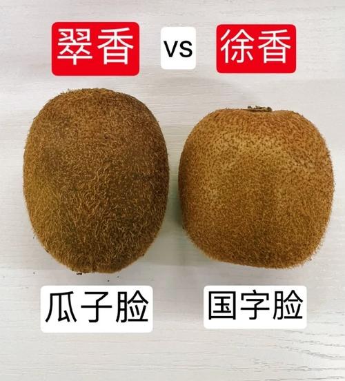 徐香猕猴桃和翠香猕猴桃的区别,哪个好吃,徐香还是翠香猕猴桃好吃?-第3张图片-优品飞百科 徐香猕猴桃和翠香猕猴桃的区别,哪个好吃,徐香还是翠香猕猴桃好吃?-第3张图片-优品飞百科
