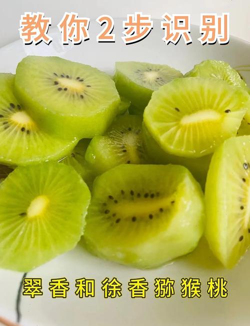 徐香猕猴桃和翠香猕猴桃的区别,哪个好吃,徐香还是翠香猕猴桃好吃?-第4张图片-优品飞百科 徐香猕猴桃和翠香猕猴桃的区别,哪个好吃,徐香还是翠香猕猴桃好吃?-第4张图片-优品飞百科