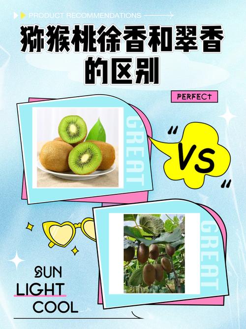 徐香猕猴桃和翠香猕猴桃的区别,哪个好吃,徐香还是翠香猕猴桃好吃?-第5张图片-优品飞百科 徐香猕猴桃和翠香猕猴桃的区别,哪个好吃,徐香还是翠香猕猴桃好吃?-第5张图片-优品飞百科