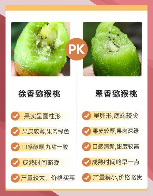 徐香猕猴桃和翠香猕猴桃的区别,哪个好吃,徐香还是翠香猕猴桃好吃?-第6张图片-优品飞百科 徐香猕猴桃和翠香猕猴桃的区别,哪个好吃,徐香还是翠香猕猴桃好吃?-第6张图片-优品飞百科