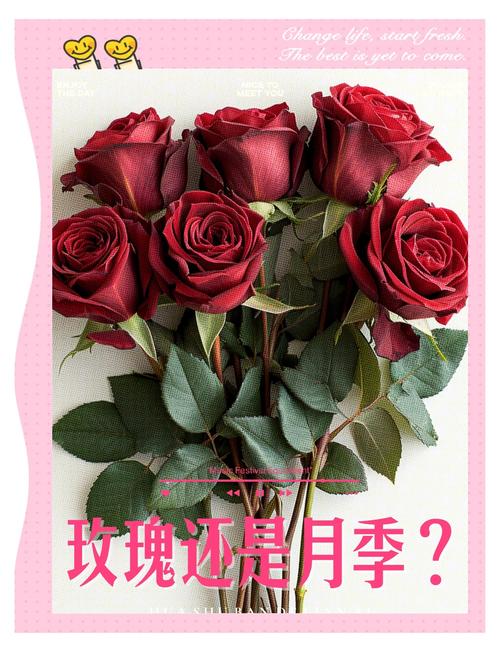 圣诞节适合送蓝色妖姬还是红玫瑰，圣诞节适合送蓝色妖姬还是红玫瑰呢？-第5张图片-优品飞百科