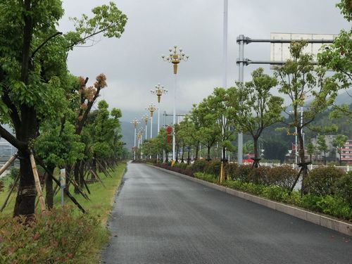 宁德天气预报15天，宁德天气预报15天准确天气情况查询？-第3张图片-优品飞百科