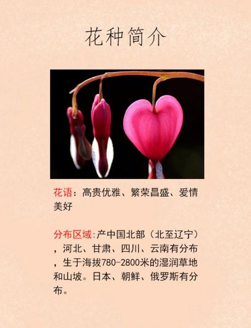 荷包牡丹的功效和作用，荷包牡丹又叫什么？-第1张图片-优品飞百科