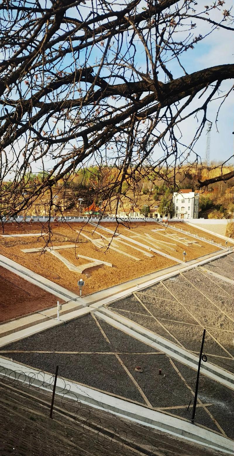 天气预报15天杳询榆社，榆县天气-第5张图片-优品飞百科