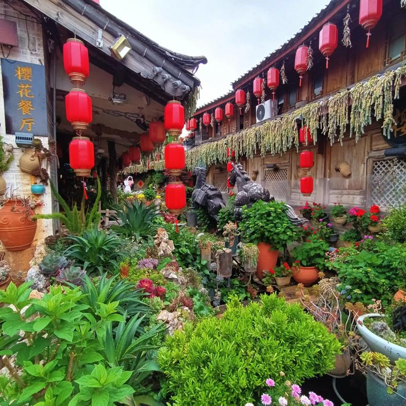 丽江市古城区天气预报，丽江市古城区天气预报15天查询结果？-第5张图片-优品飞百科