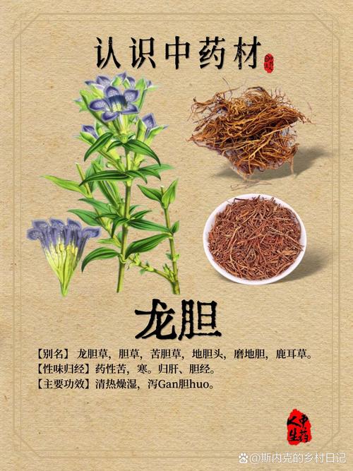 龙胆草的功效和作用，龙胆草的功效和作用及禁忌-第1张图片-优品飞百科