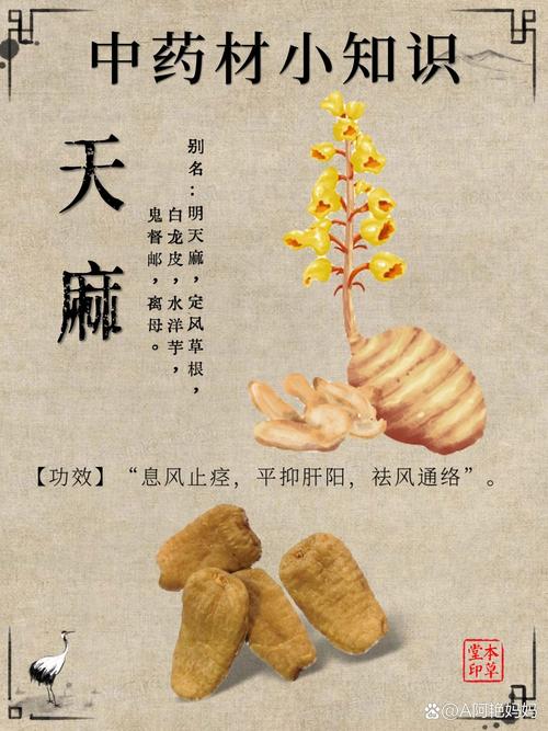 天麻的功效与作用,葛根的功效与作用-第1张图片-优品飞百科 天麻的功效与作用,葛根的功效与作用-第1张图片-优品飞百科