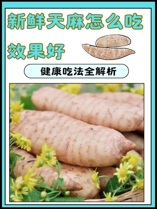 天麻的功效与作用,葛根的功效与作用-第2张图片-优品飞百科 天麻的功效与作用,葛根的功效与作用-第2张图片-优品飞百科