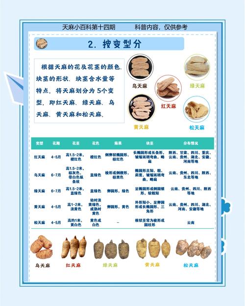 天麻的功效与作用,葛根的功效与作用-第7张图片-优品飞百科 天麻的功效与作用,葛根的功效与作用-第7张图片-优品飞百科