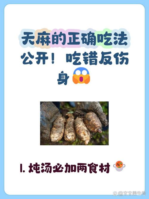 天麻的功效与作用,葛根的功效与作用-第8张图片-优品飞百科 天麻的功效与作用,葛根的功效与作用-第8张图片-优品飞百科