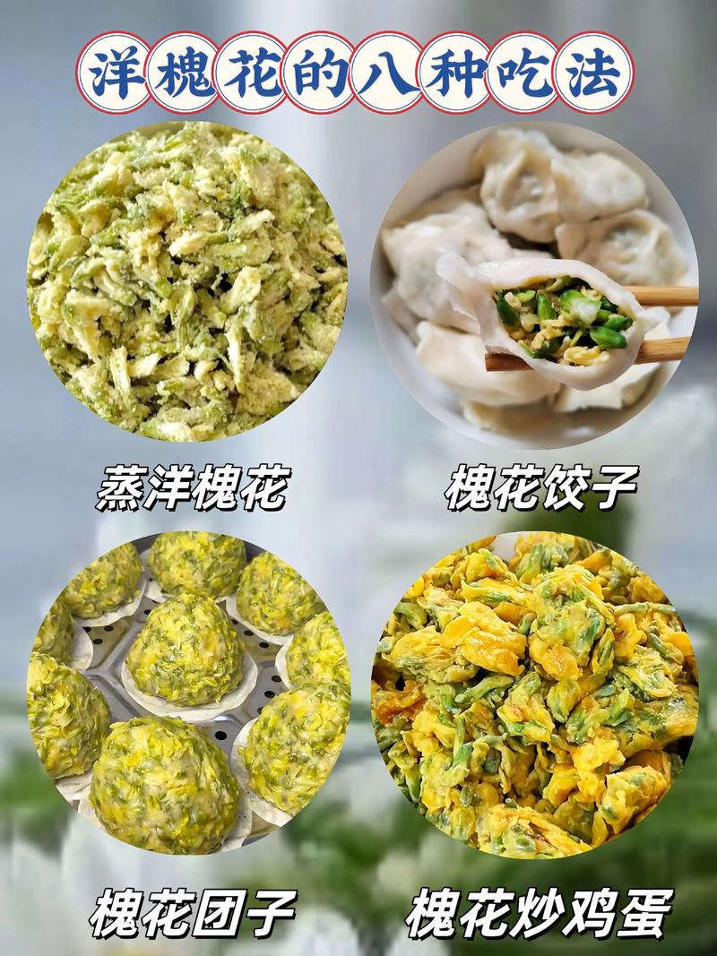 十里洋槐花，咬一口又香又甜，好吃到舔盘子！？洋槐花 槐花？-第1张图片-优品飞百科