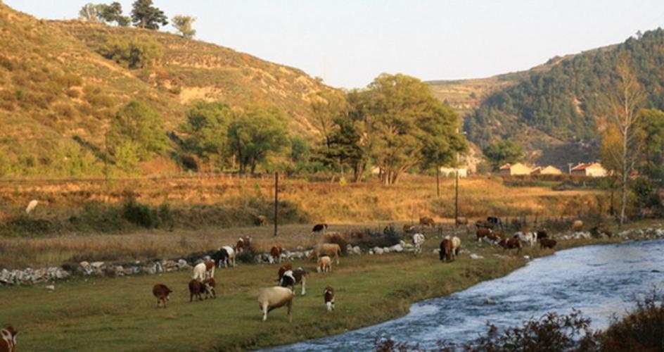 天气预报交城？天气预报交城啥时候下雪？-第6张图片-优品飞百科