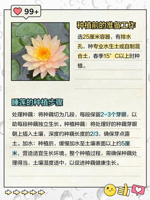 睡莲可以放室内吗，睡莲可以放室内吗冬天-第3张图片-优品飞百科