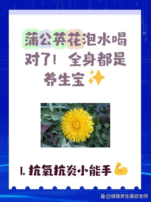 蒲公英花的药用价值，蒲公英花的药用价值与副作用？-第8张图片-优品飞百科
